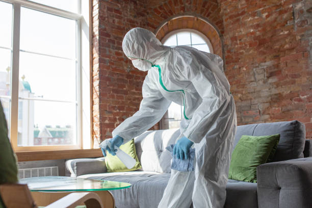 Trusted Iraan, TX Mold Removal Services Experts